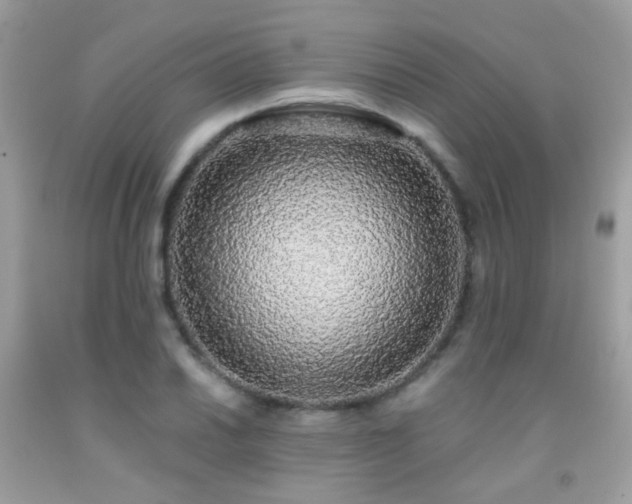 X0000091861030200709051203