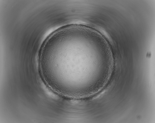 X0000091861032200709051203