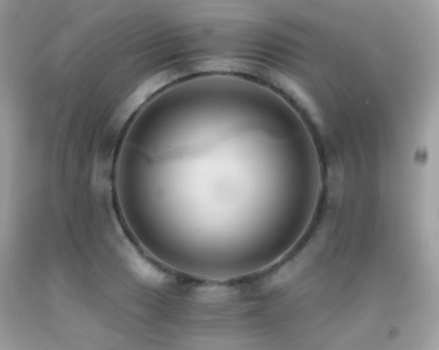X0000091861033200709051203
