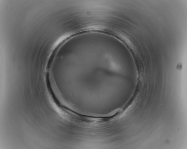 X0000091861034200709051203