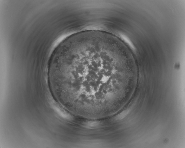 X0000091861035200709051203