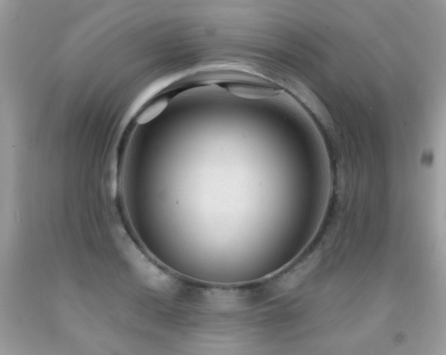 X0000091861036200709051203