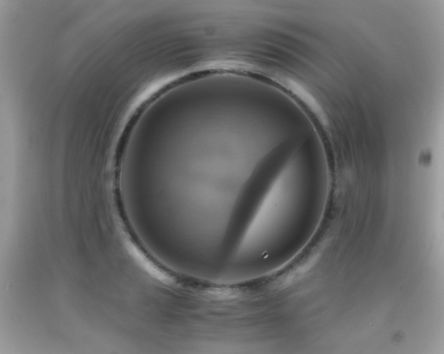 X0000091861037200709051203