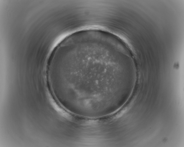 X0000091861038200709051203