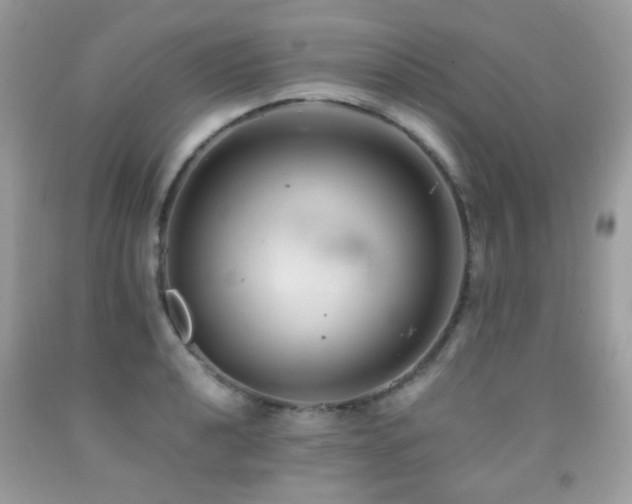 X0000091861040200709051204