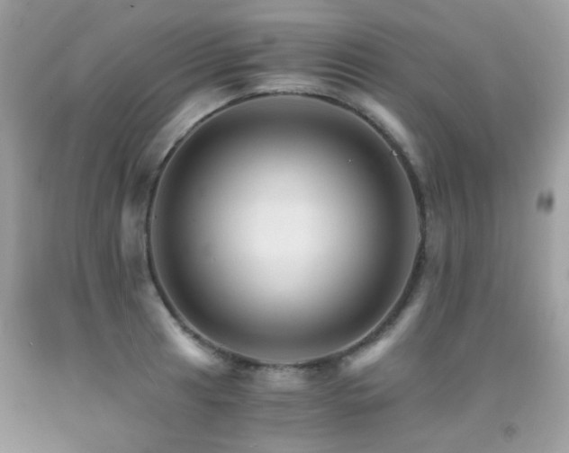 X0000091861041200709051204