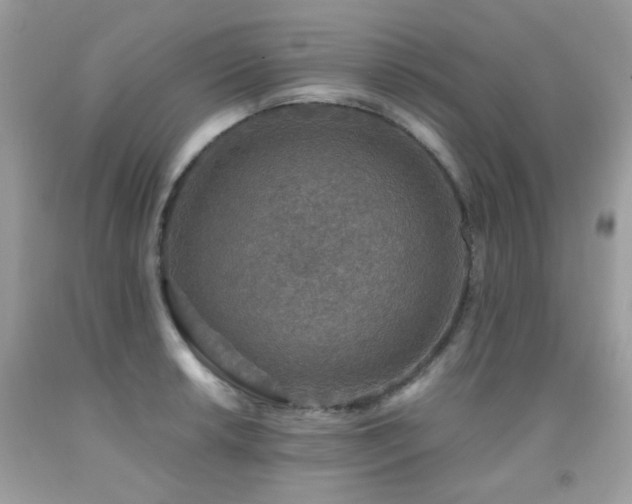 X0000091861042200709051204