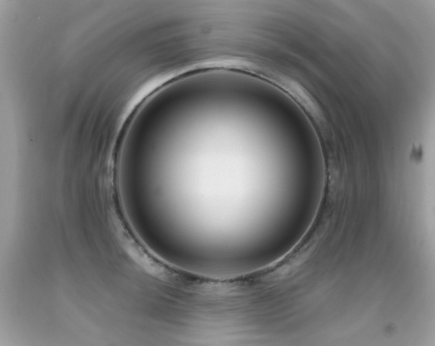 X0000091861044200709051204