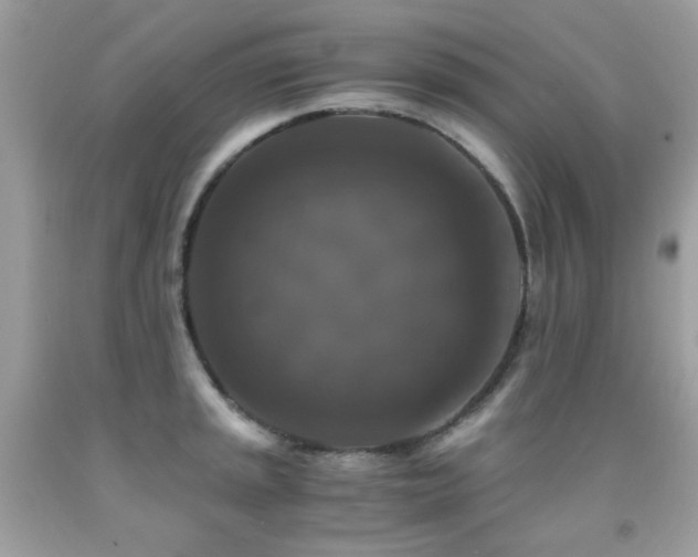 X0000091861045200709051204