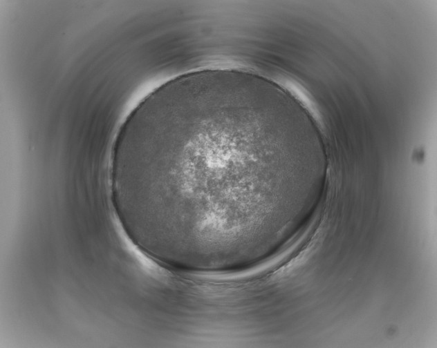 X0000091861046200709051204