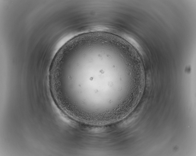 X0000091861047200709051204