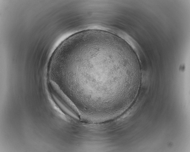 X0000091861048200709051204