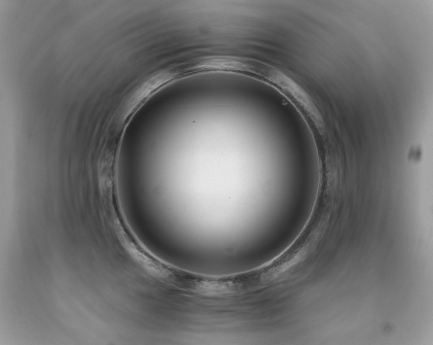 X0000091861049200709051204