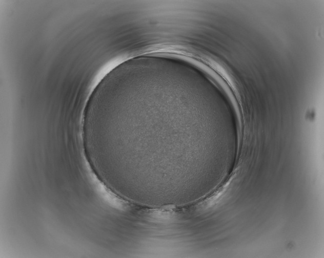 X0000091861050200709051204
