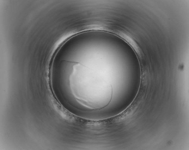 X0000091861051200709051204