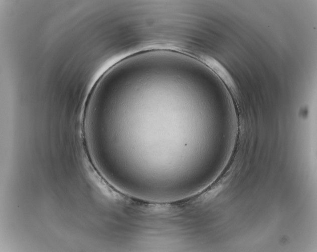 X0000091861052200709051204