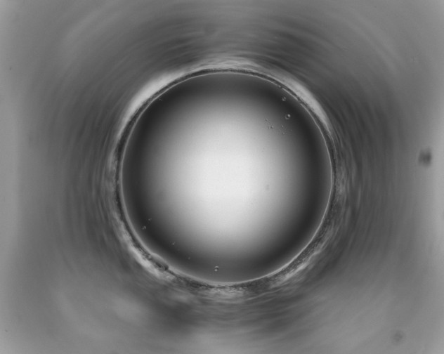 X0000091861053200709051204
