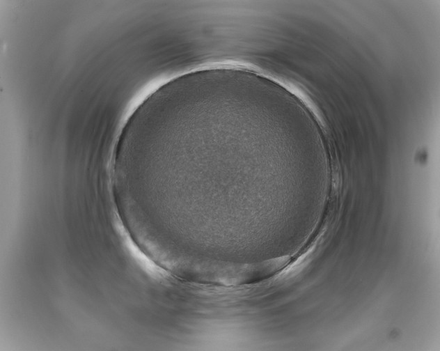 X0000091861054200709051204