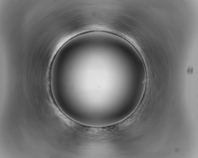 X0000091861056200709051204