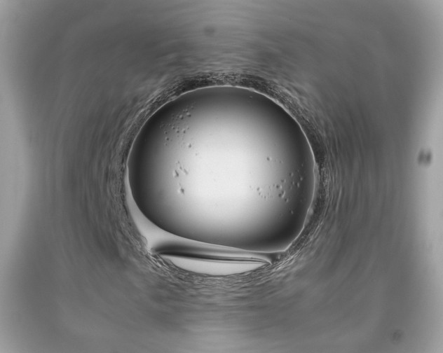 X0000091861057200709051203