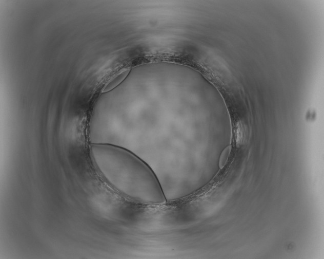 X0000091861059200709051203
