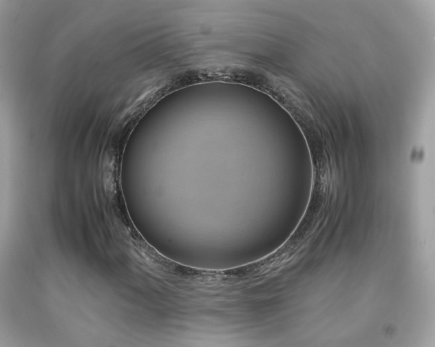 X0000091861060200709051203