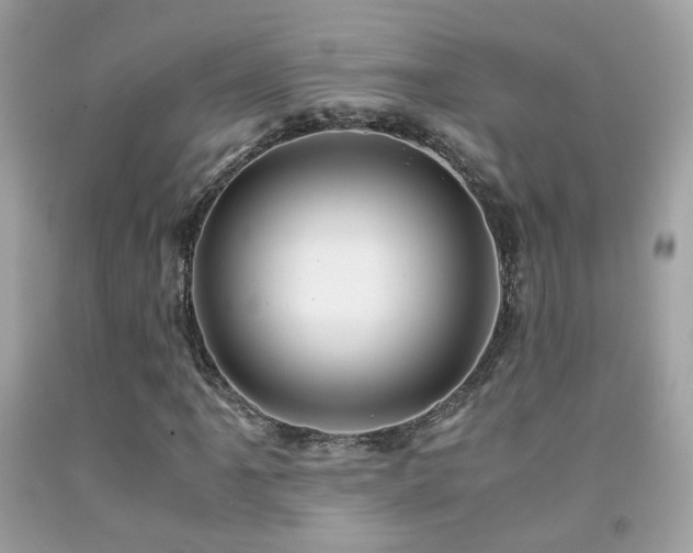 X0000091861061200709051203
