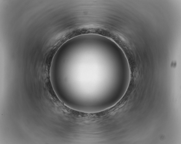 X0000091861062200709051203