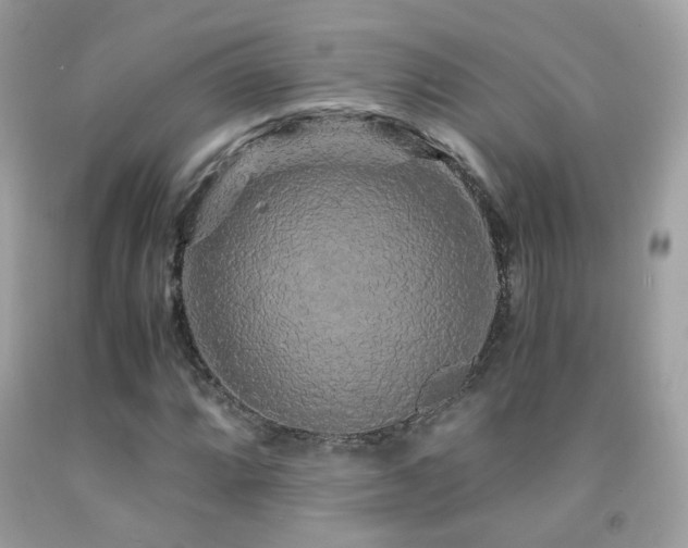 X0000091861064200709051203
