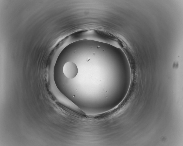 X0000091861065200709051203