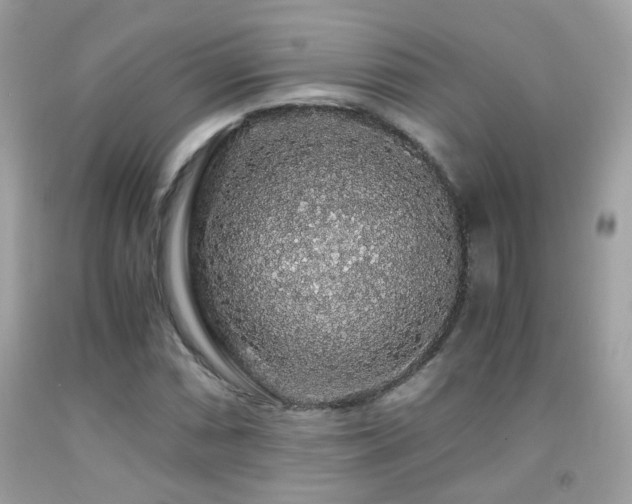 X0000091861066200709051203