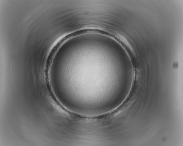 X0000091861068200709051203