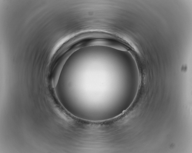 X0000091861069200709051203