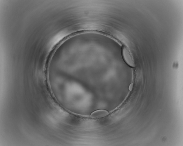 X0000091861071200709051203