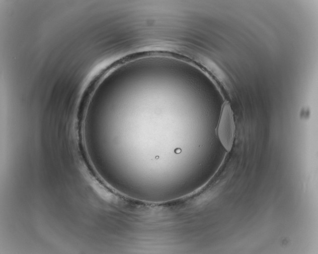 X0000091861072200709051203