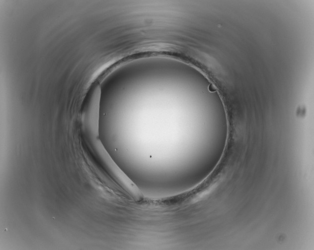 X0000091861073200709051203