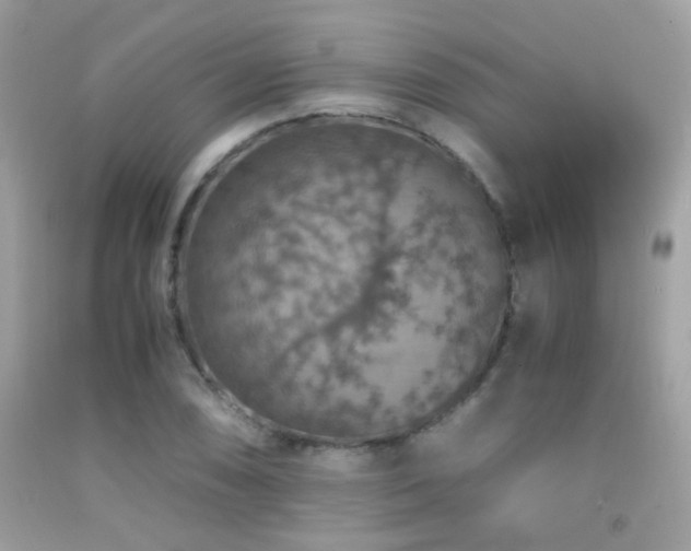 X0000091861074200709051203