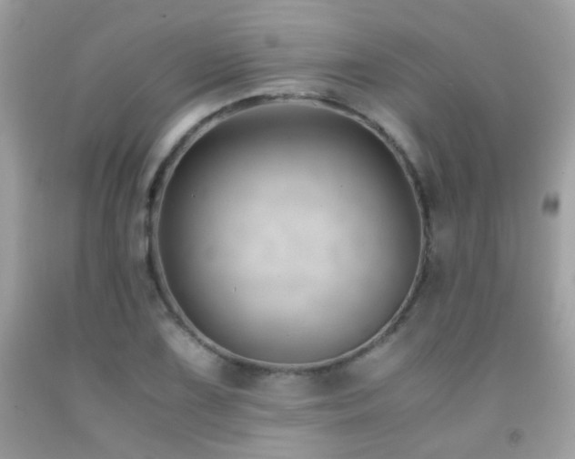 X0000091861075200709051203