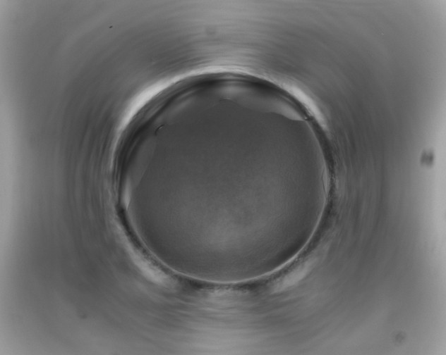 X0000091861077200709051203