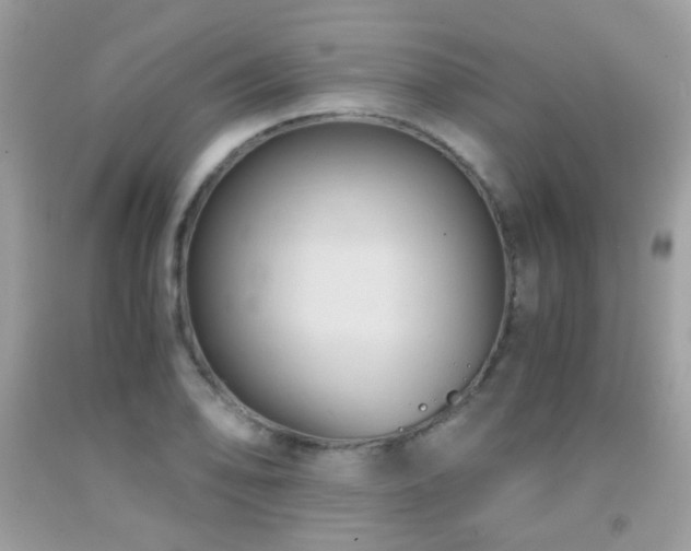X0000091861078200709051203