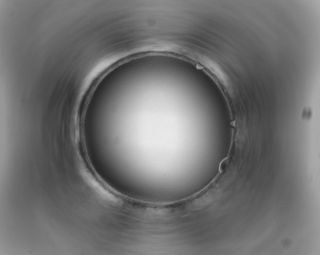 X0000091861080200709051203