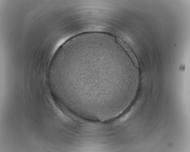 X0000091861081200709051203