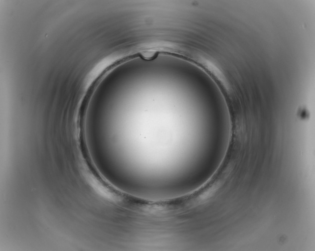 X0000091861082200709051203