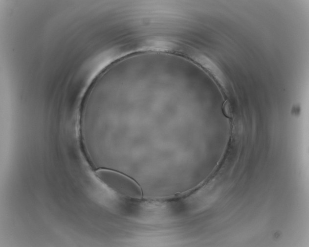 X0000091861083200709051203