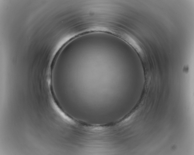 X0000091861084200709051203