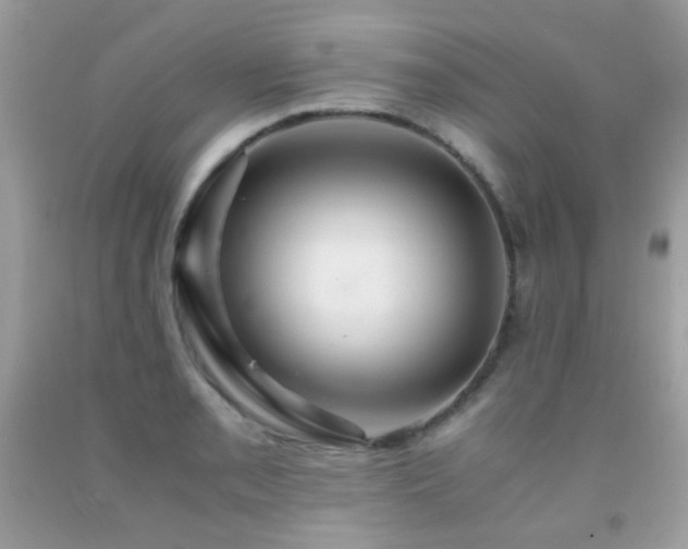 X0000091861085200709051203