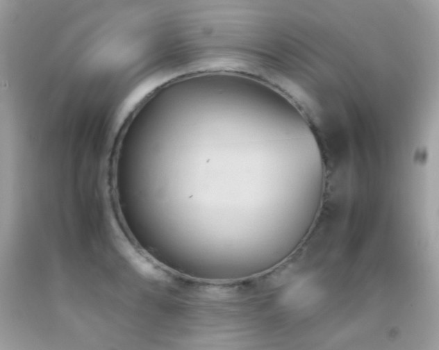 X0000091861086200709051203