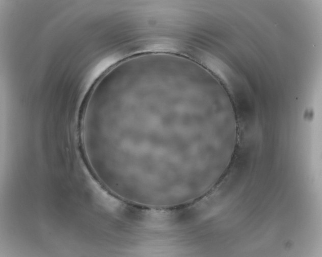 X0000091861087200709051203