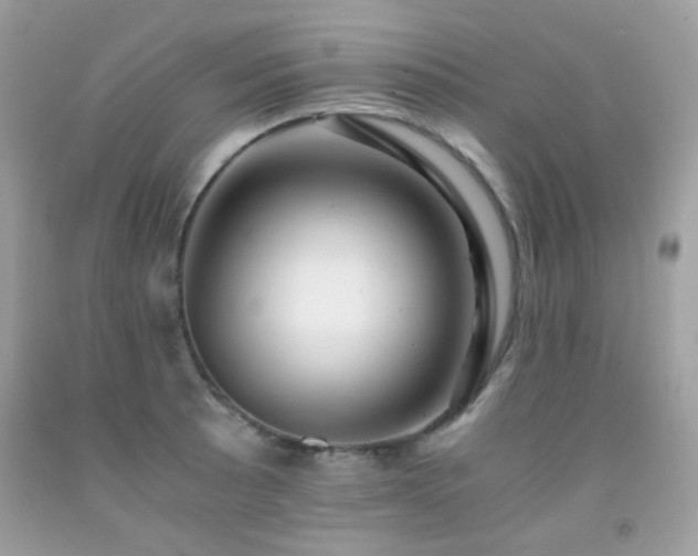 X0000091861089200709051203