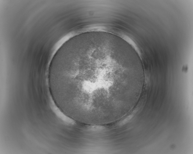X0000091861090200709051203